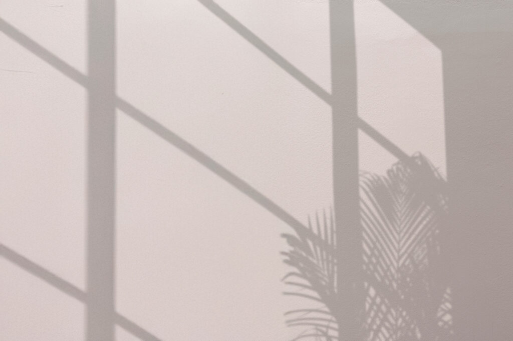 Palm Fronds Window Background