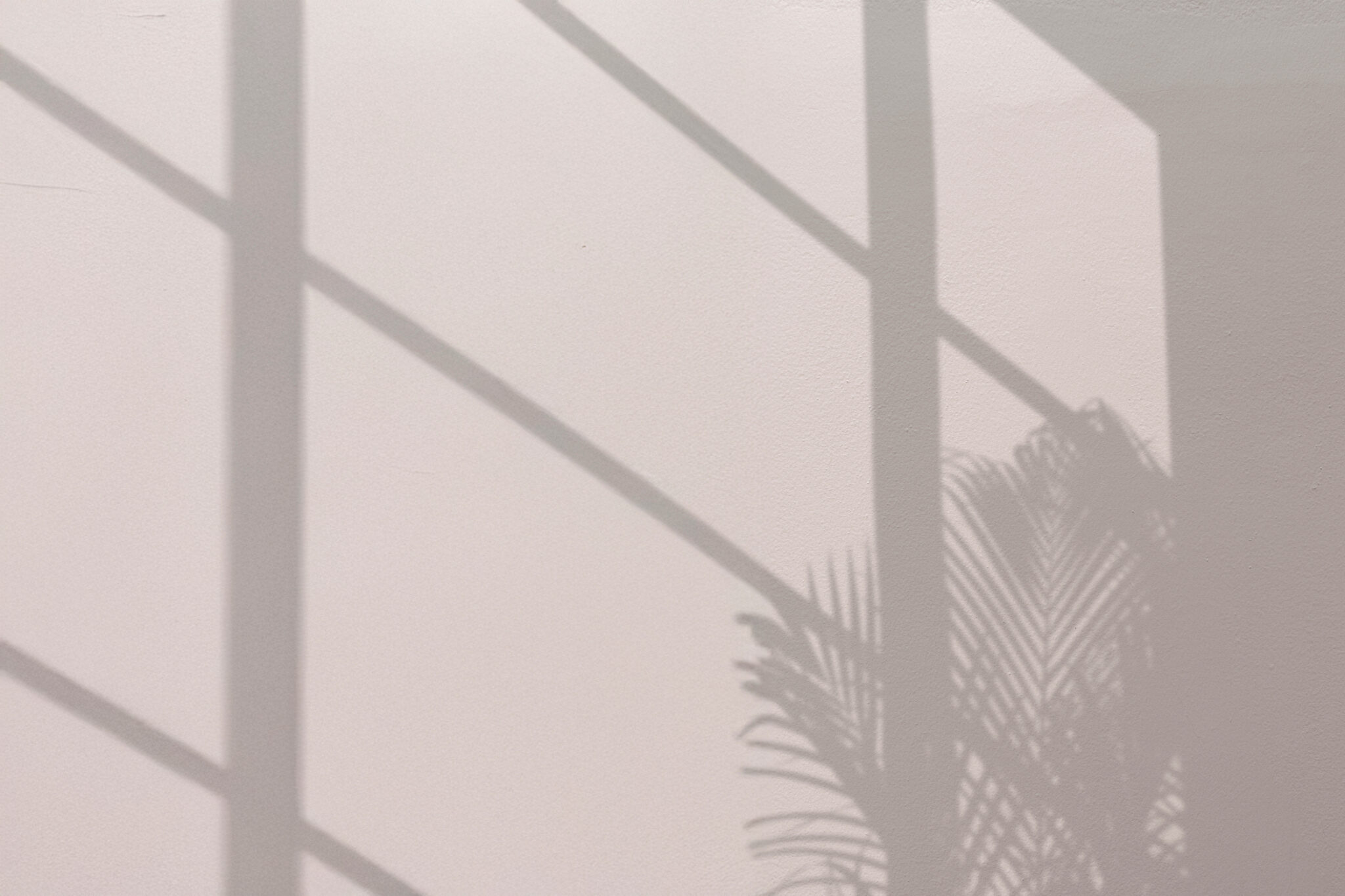 Palm Fronds Window Background