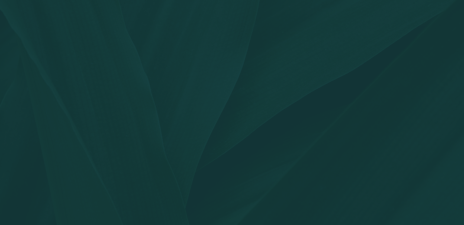 Tropical Leaves Background